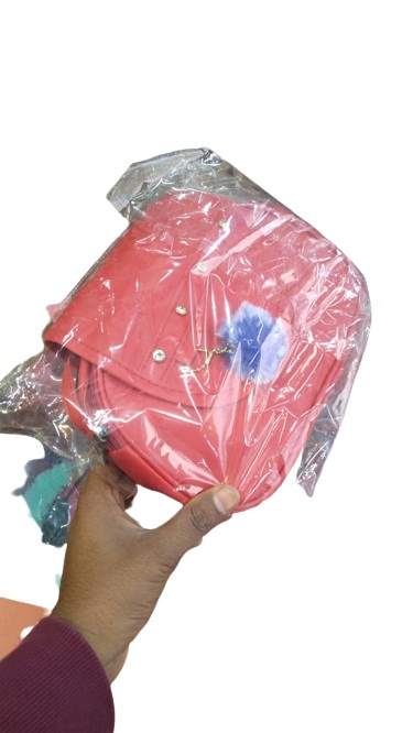 Ladies handbag