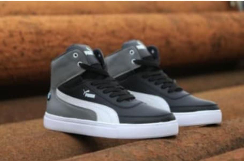 Fancy Shoe