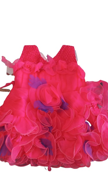 Fancy Net Frock