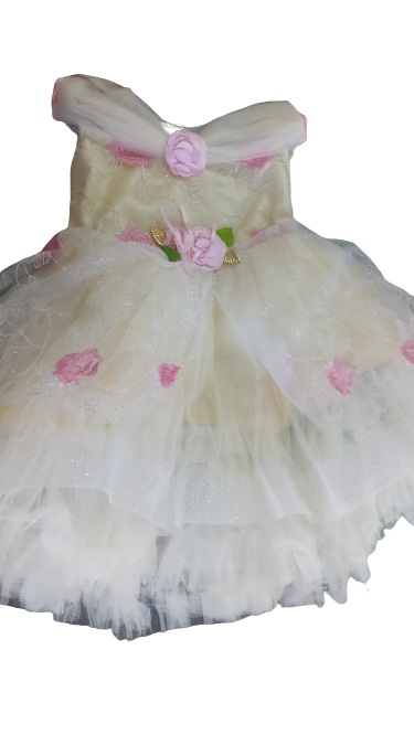 Fancy Net Frock