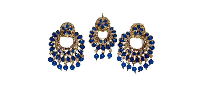 Navy Blue Colour Gold Fancy Earring