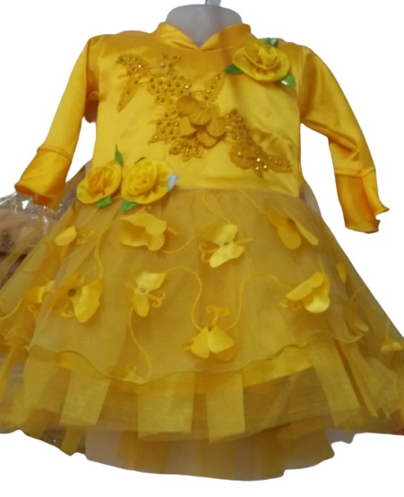 Fancy Net Frock