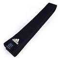 Taekwondo Black Belt